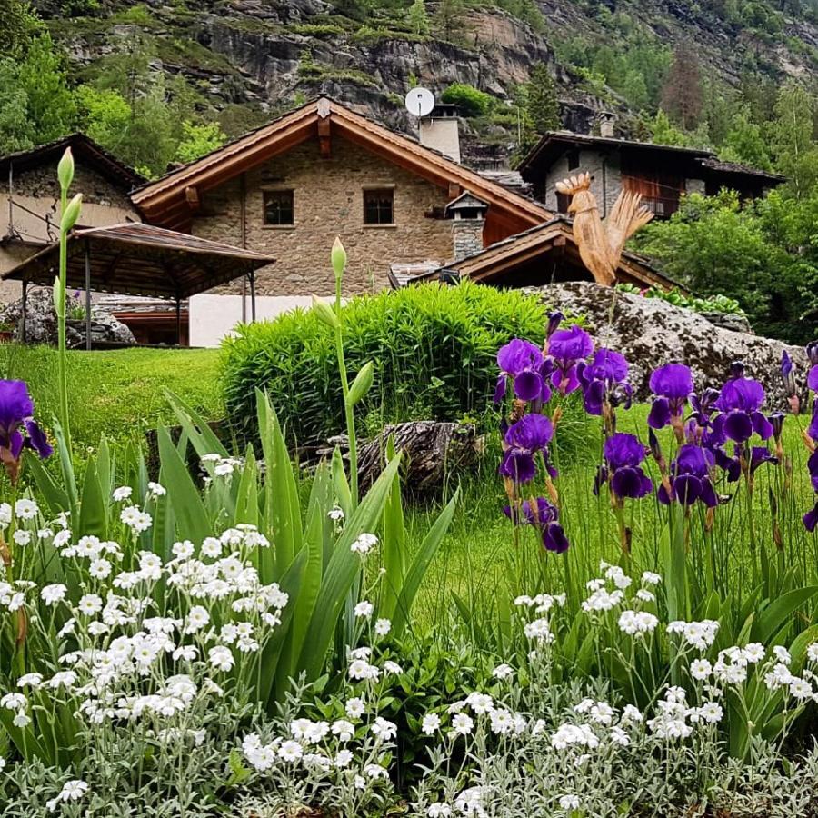 أرفيير B&B Lo Djoua De Toueno المظهر الخارجي الصورة